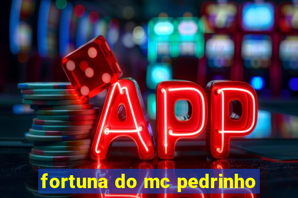 fortuna do mc pedrinho