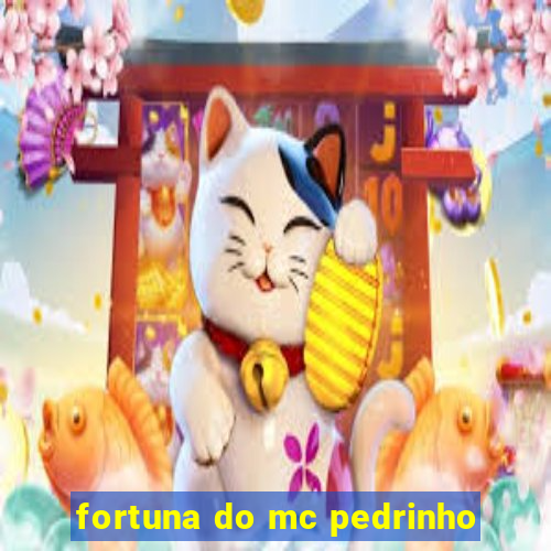 fortuna do mc pedrinho