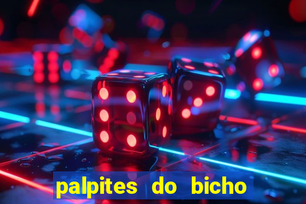 palpites do bicho no celular