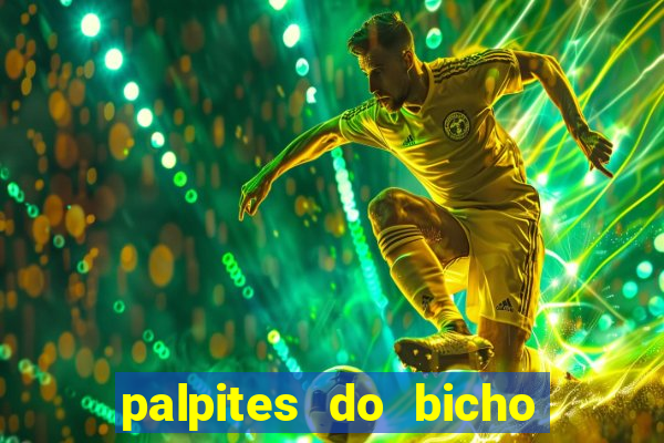 palpites do bicho no celular