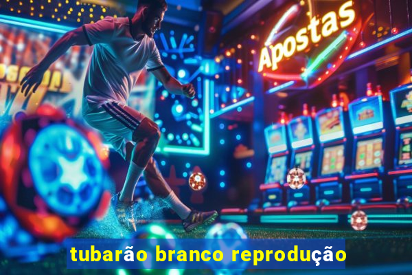 tubarão branco reprodução