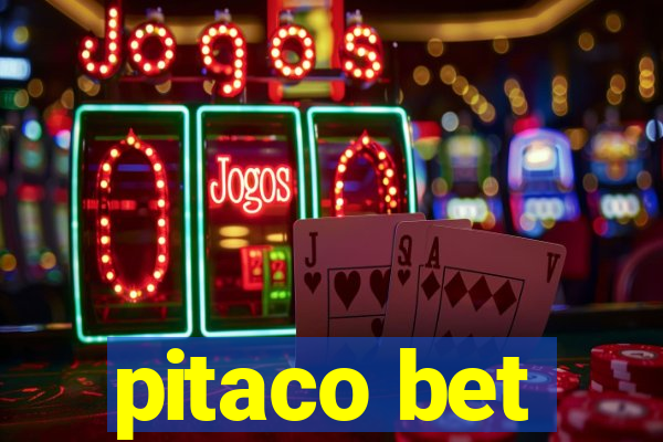 pitaco bet