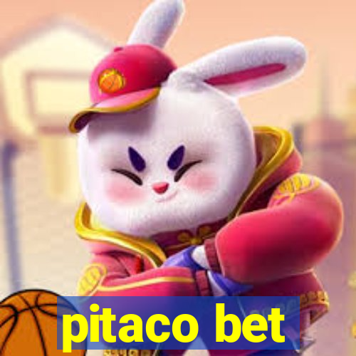 pitaco bet