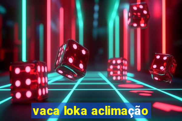 vaca loka aclimação