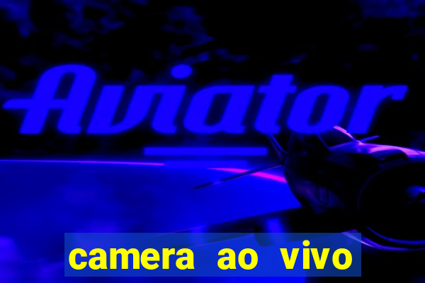 camera ao vivo beto carrero