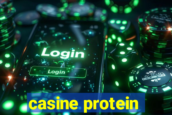 casine protein