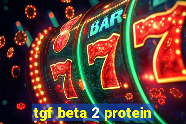 tgf beta 2 protein