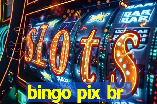 bingo pix br