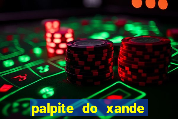 palpite do xande de hoje