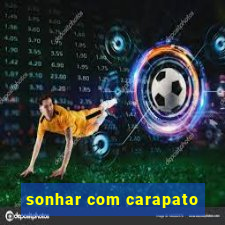 sonhar com carapato