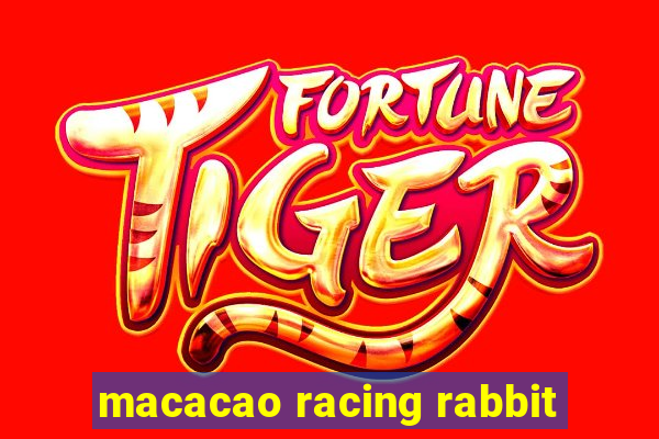 macacao racing rabbit