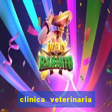 clinica veterinaria cuidar betim