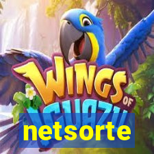 netsorte