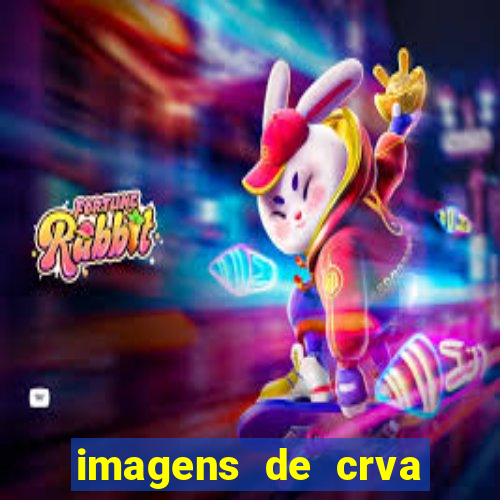 imagens de crva zona sul