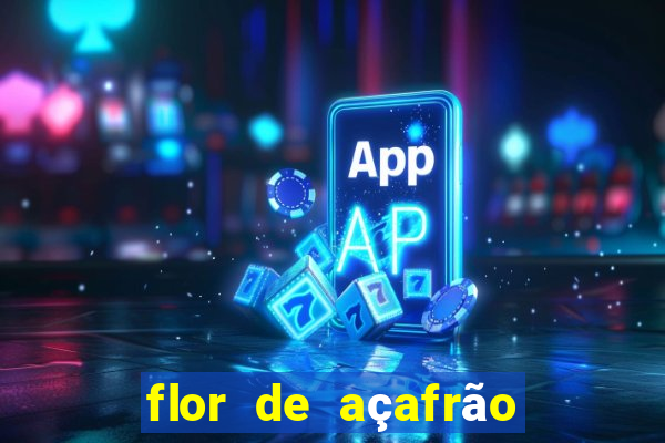 flor de açafrão stardew valley