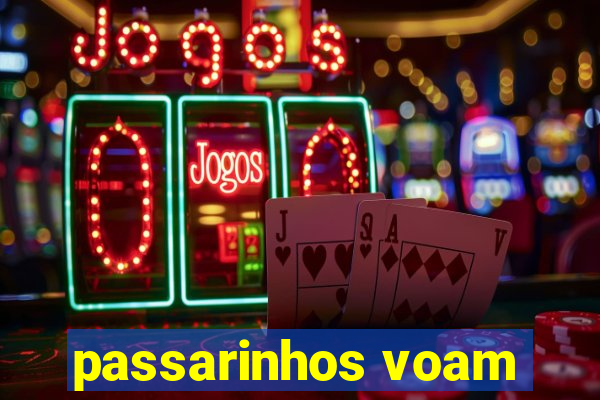 passarinhos voam