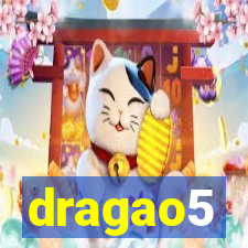 dragao5