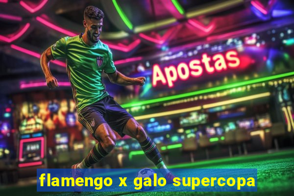 flamengo x galo supercopa