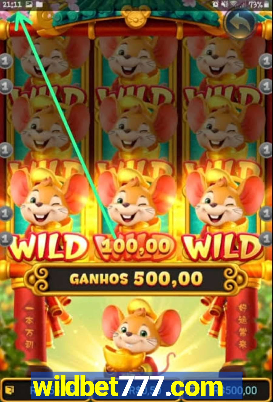 wildbet777.com