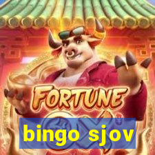 bingo sjov