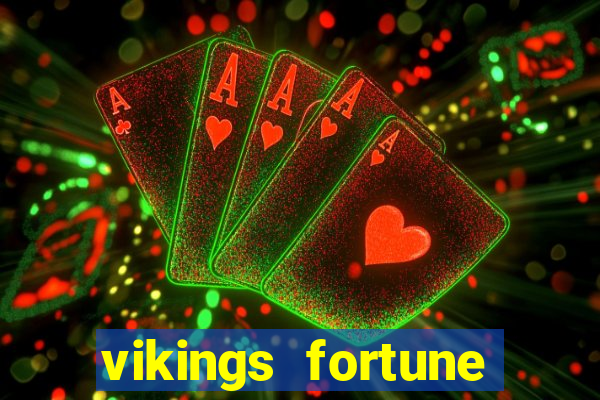 vikings fortune hold and win slot