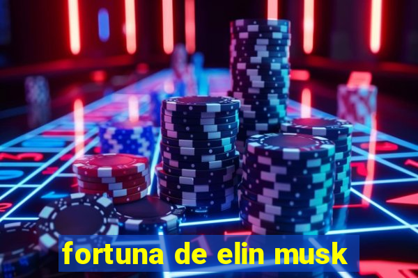 fortuna de elin musk