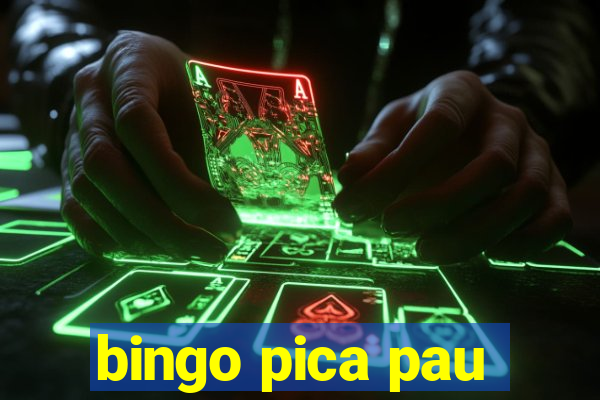 bingo pica pau