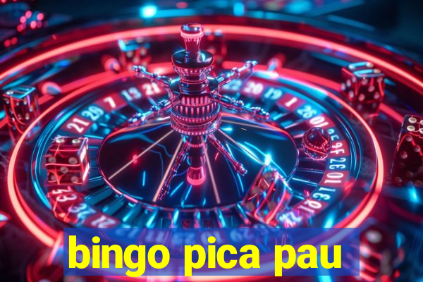 bingo pica pau