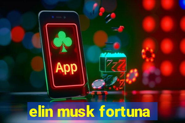 elin musk fortuna