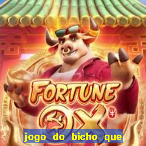 jogo do bicho que da dinheiro