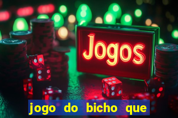 jogo do bicho que da dinheiro