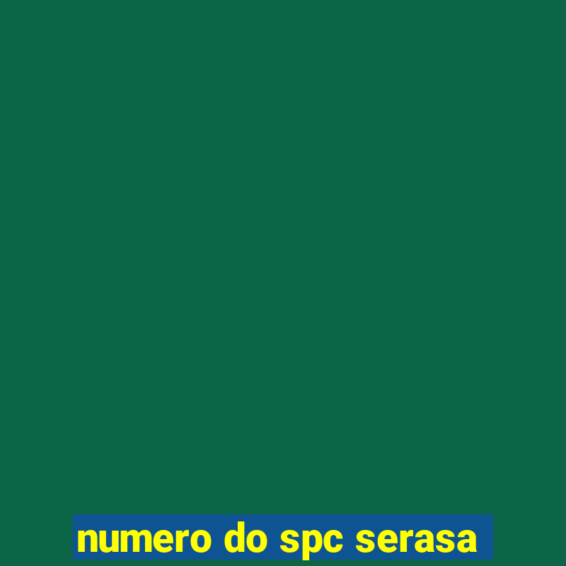 numero do spc serasa