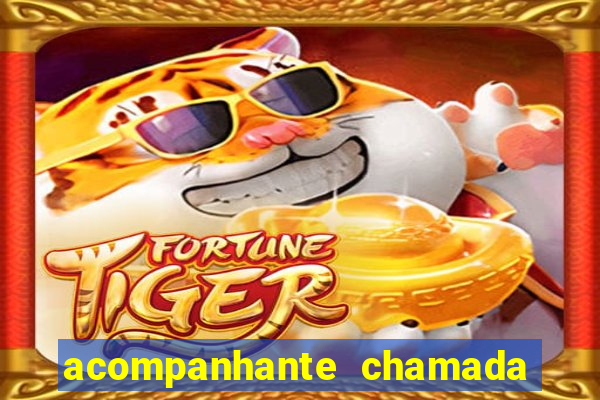 acompanhante chamada de video