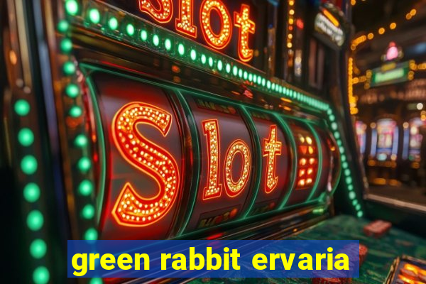 green rabbit ervaria