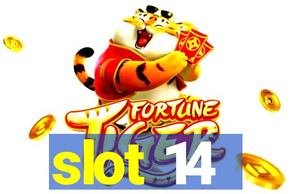 slot 14