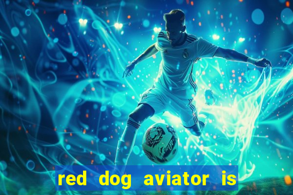 red dog aviator is real or fake