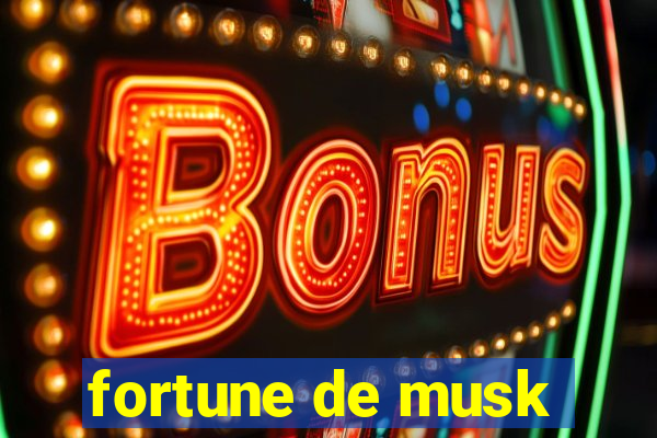 fortune de musk