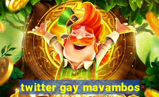 twitter gay mavambos