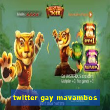 twitter gay mavambos