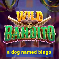 a dog named bingo