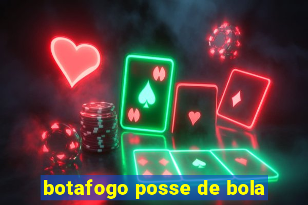 botafogo posse de bola