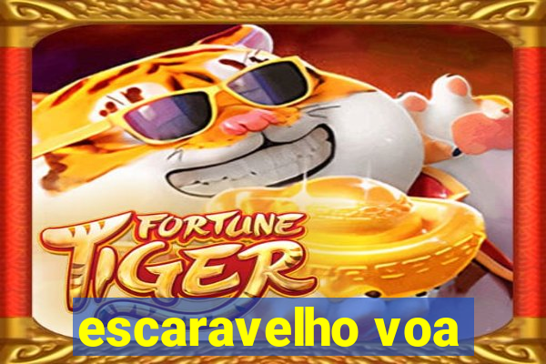 escaravelho voa