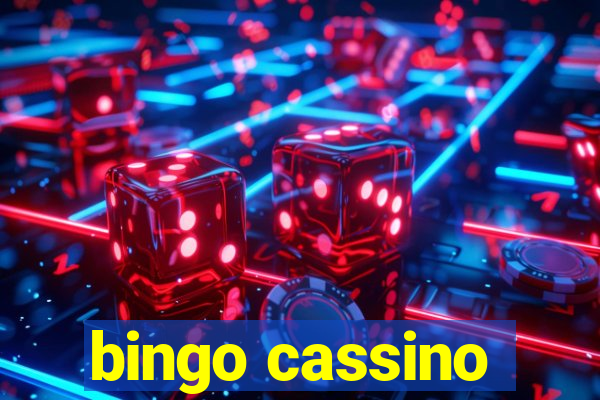 bingo cassino