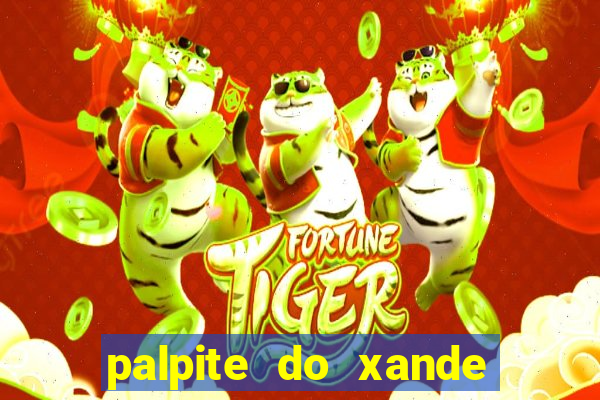 palpite do xande para hoje