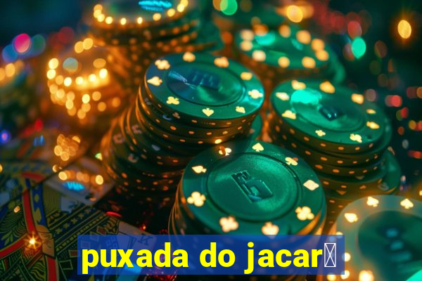 puxada do jacar茅