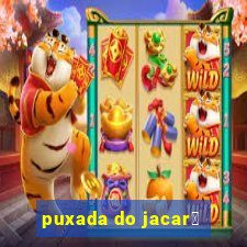 puxada do jacar茅