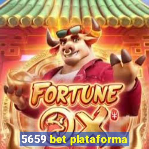 5659 bet plataforma