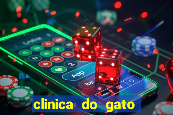 clinica do gato porto alegre