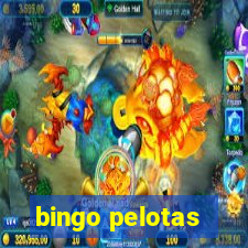 bingo pelotas