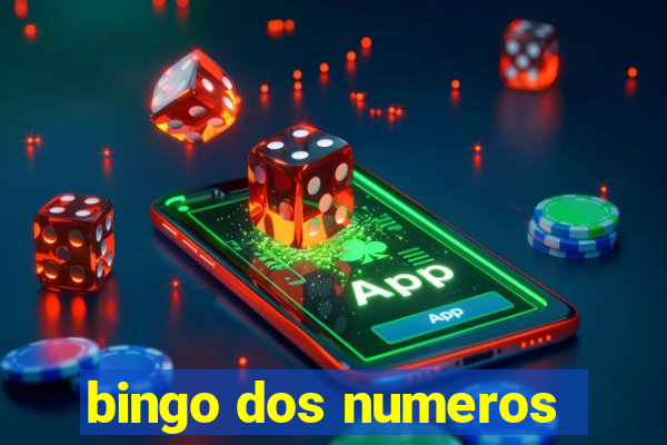 bingo dos numeros